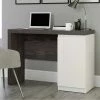 Flash Sale 🧨 Sauder Hudson Court Desk ⌛